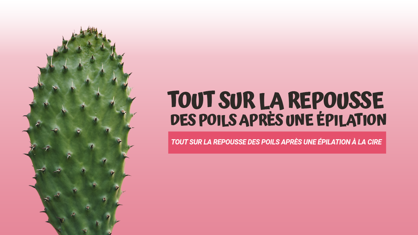 repousse poils après epilation cire chaude